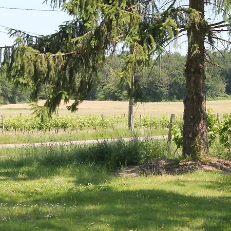 La Bastide Ferienhaus Lagrange (Landes)